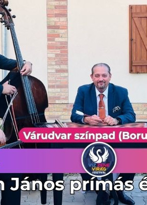 Johan János prímás és zenekara - Víz Zene Virág Fesztivál
